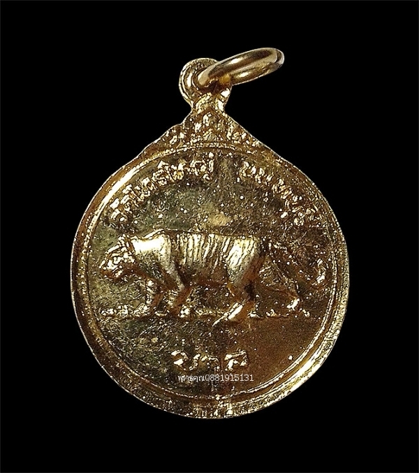 เหรียญพระประจำวันอังคารหลังปีขาล (ปีเสือ) วัดไทรใหญ่ จ.นนทบุรี